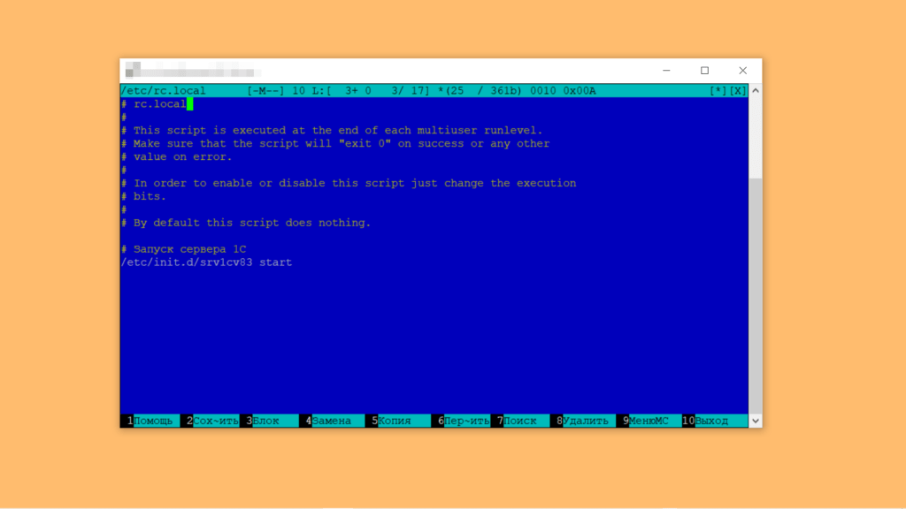 Файл /etc/rc.local