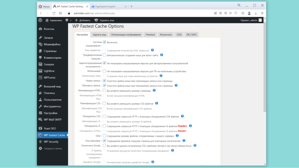Настройки плагина WP Fastest Cache