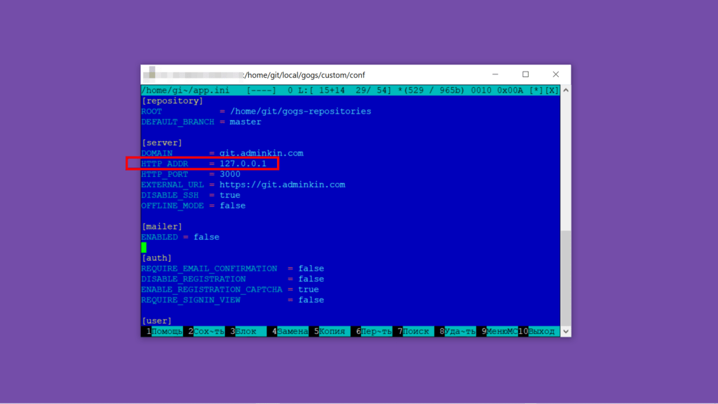 Файл app.ini с настройками Gogs.