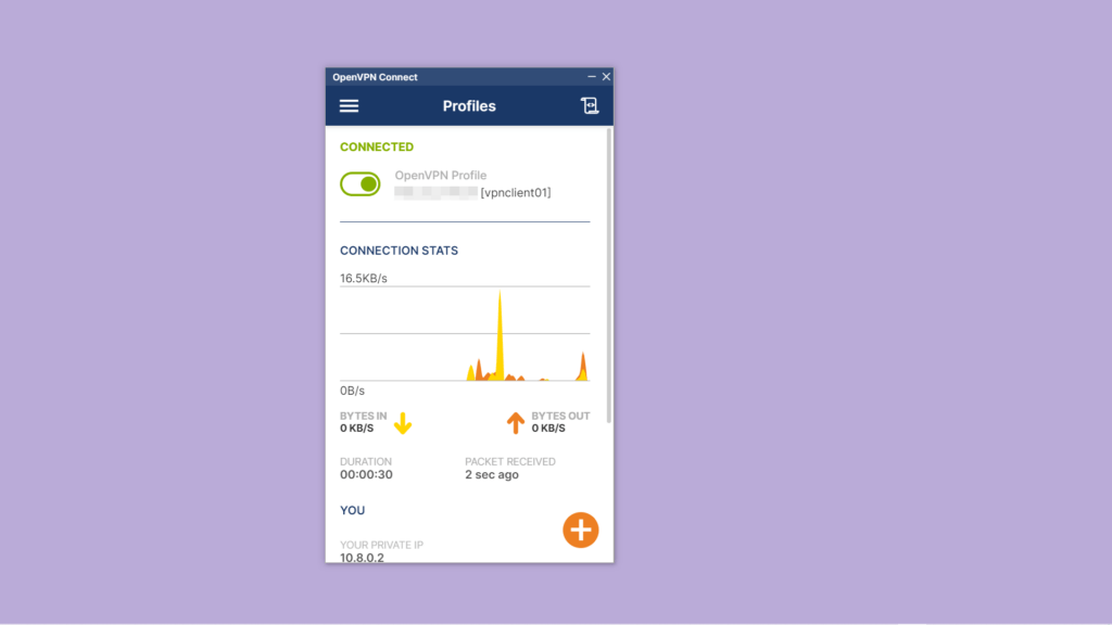 OpenVPN Connect. Свързано към VPN 2023 година.