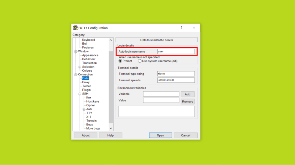 PuTTY Configuration. Раздел Data