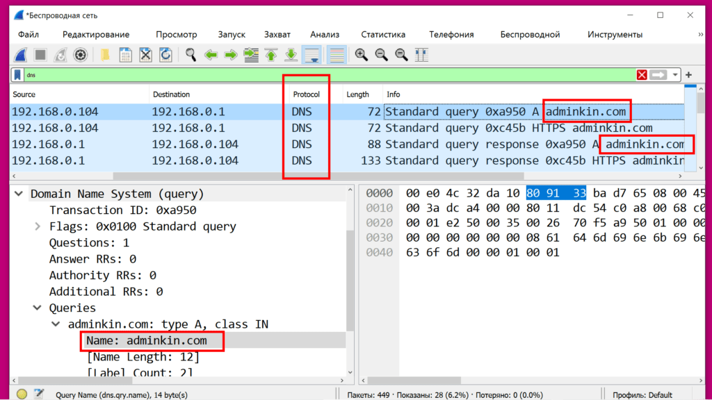 Протокол DNS. Запрос и ответ DNS в виде открытого текста